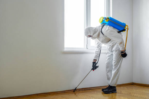 Best Commercial Pest Control Services  in Five Forks, SC